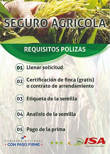 seguro-agricola-requisitos-1.jpeg
