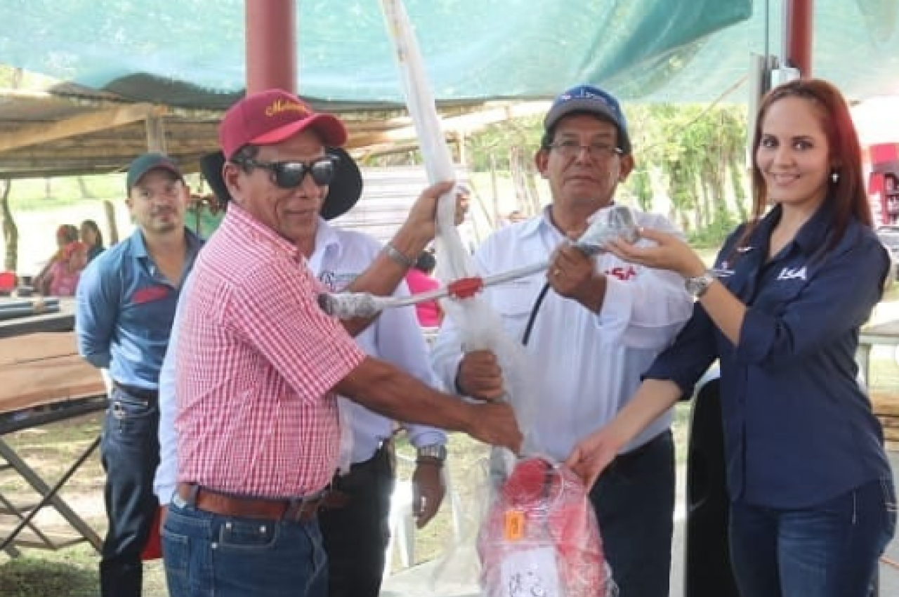 Feria y Subasta de Ganado Lechero