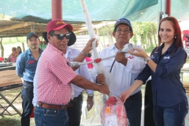 Feria y Subasta de Ganado Lechero