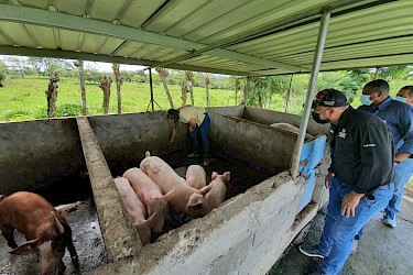 ISA y AMPYME realizan visitas a micro y pequeños productores.