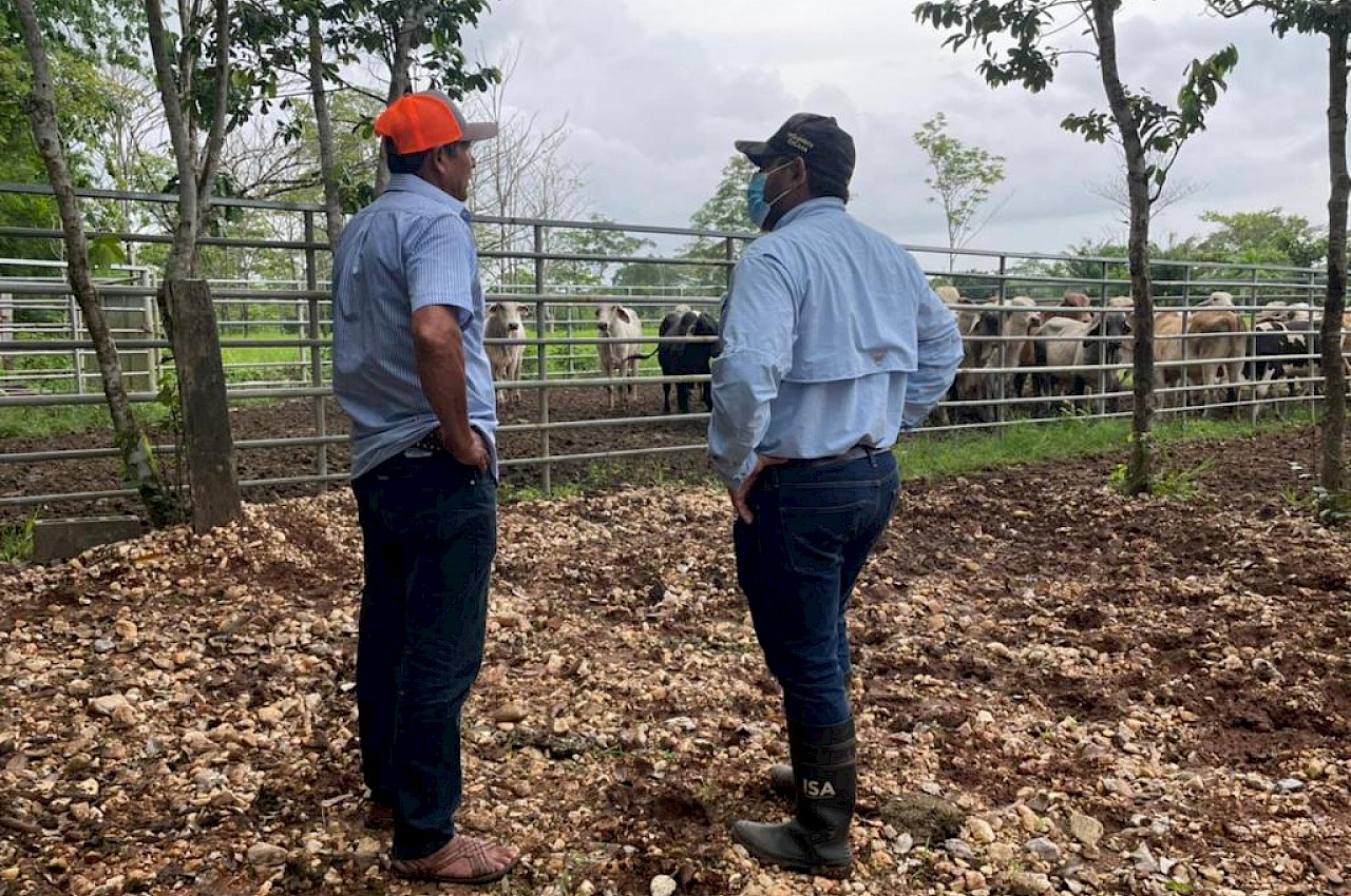 Visita de nuestro Gerente General, Luis Carlos Díaz Vargas a productor pecuario en Darién.