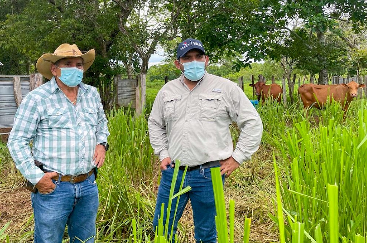 Visita de nuestro Gerente General y equipo técnico a finca de ganado de alta genética en Chiriquí.