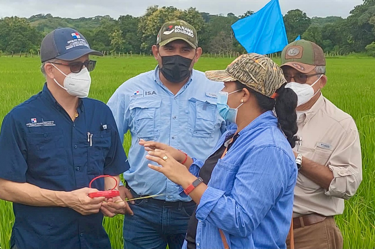 Participamos de la Escuela de Campo (ECA) en Pocrí de Los Santos.