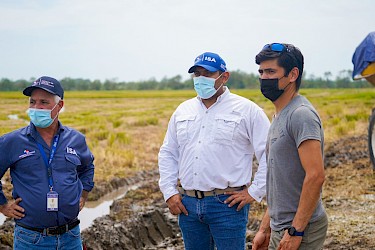 Participamos de la cosecha de 45 hectáreas de arroz en Pacora, Panamá Este.