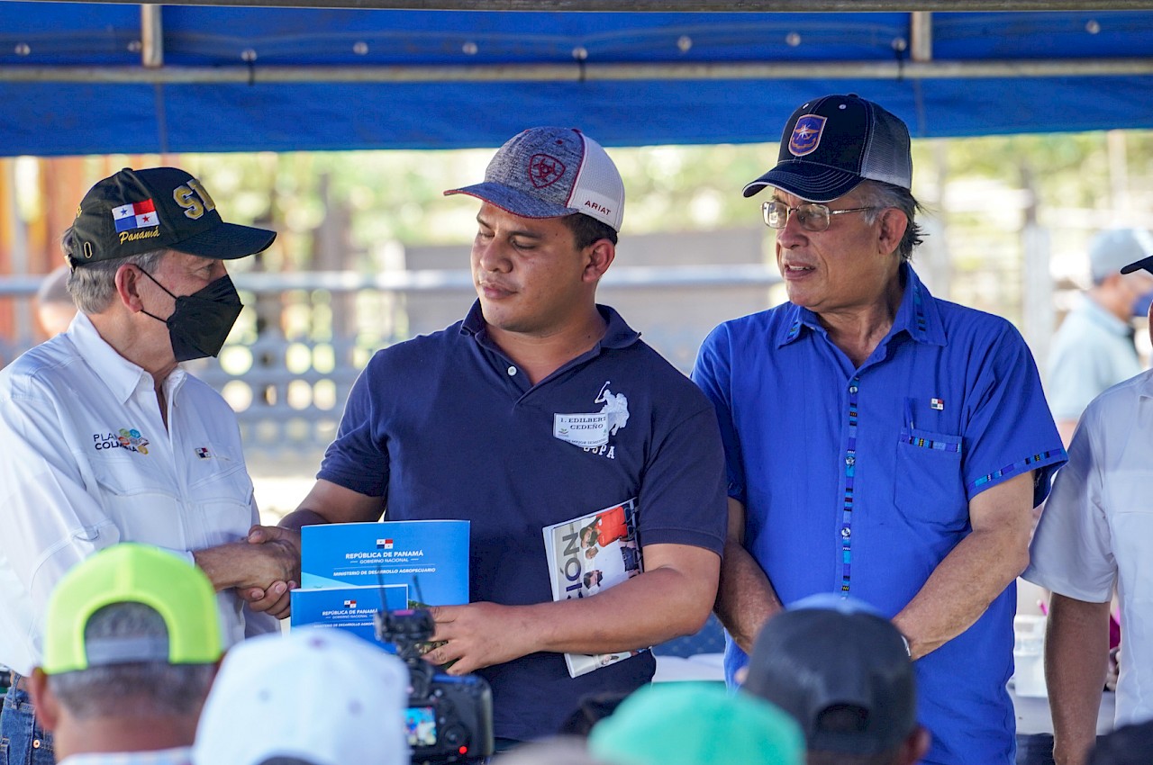 Entrega de sementales de alta genética a productores en Tolé, Chiriquí.