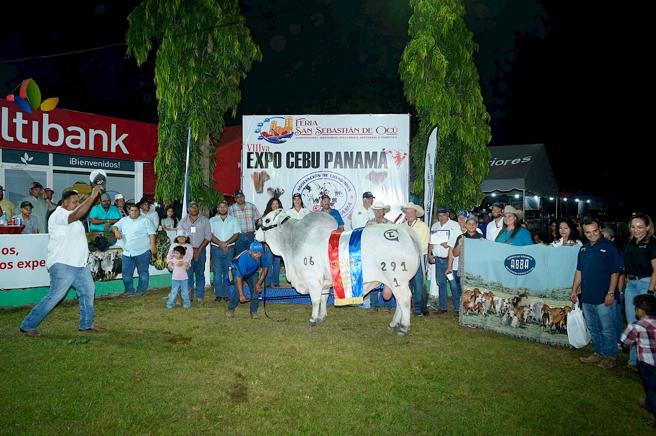 VIII Versión del Expo Cebú Panamá en la Feria San Sebastían de Ocú