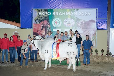 Expo Brahman 2024 en la Feria Internacional de David