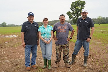 Cultivo de arroz en Mariato asegurado con el ISA
