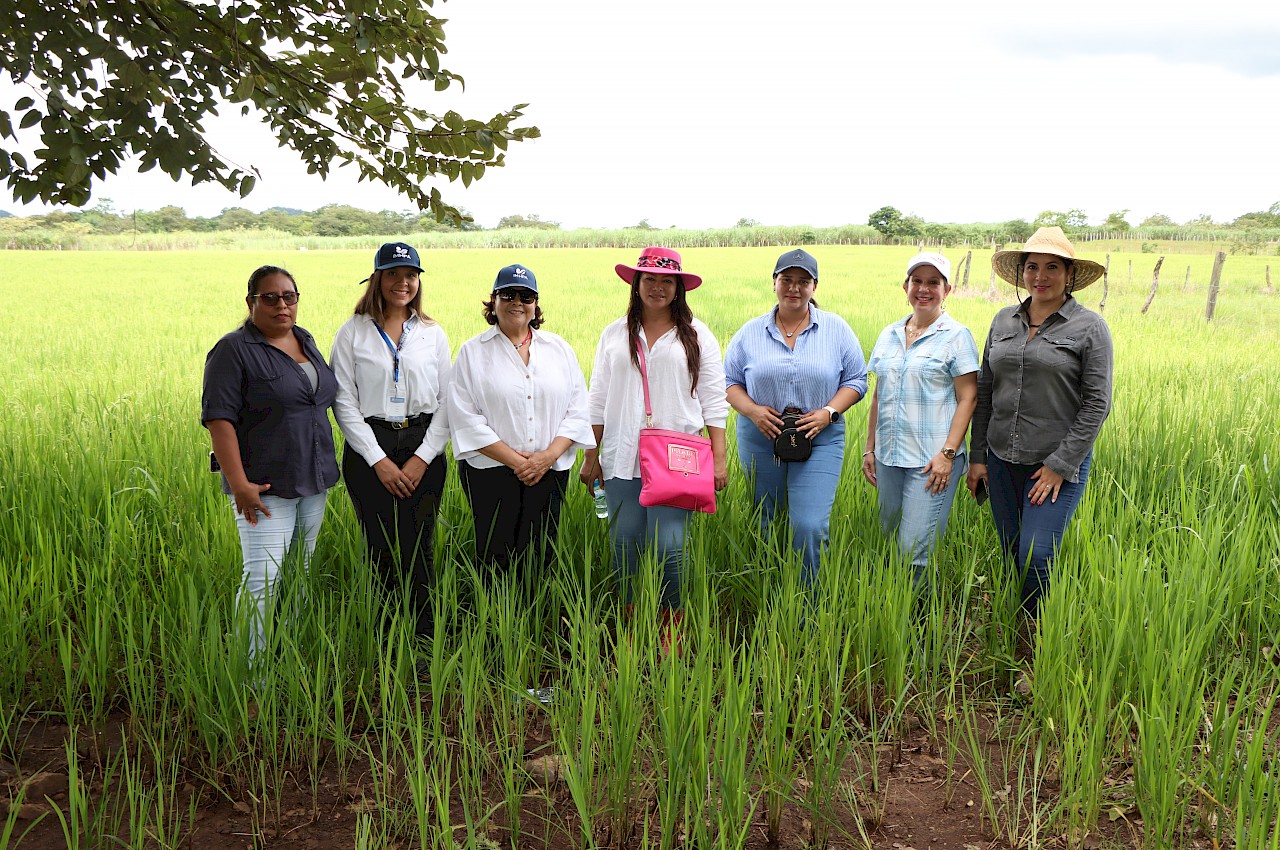 ISA y ANPPAC recorren parcelas arroceras lideradas por mujeres de Veraguas.