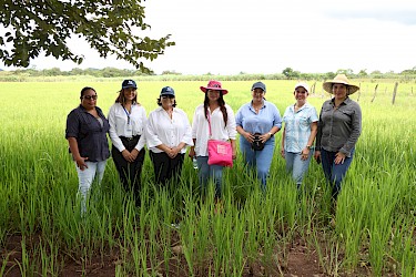 ISA y ANPPAC recorren parcelas arroceras lideradas por mujeres de Veraguas.