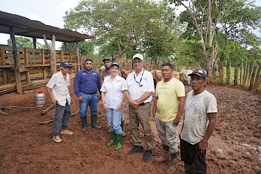 Productor de Chagres asegura seis toros de ceba con el ISA.