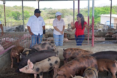 Mujeres impulsan la porcicultura en Coclé con el respaldo del ISA.