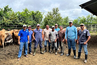 Avance exitoso arroja programa de transferencia de embriones asegurados con el ISA.