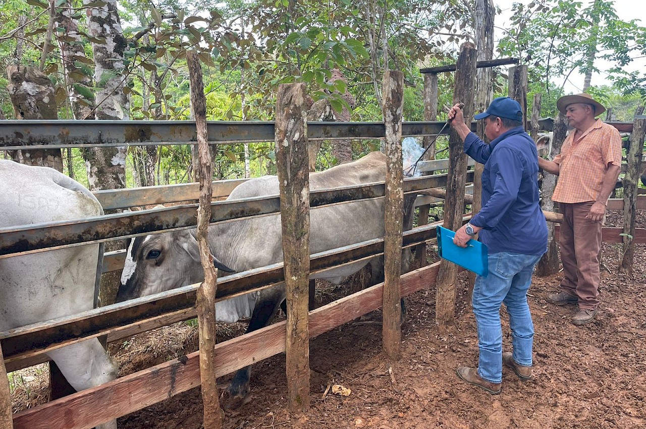 Finca productora de reses Brahmán recibe positiva calificación tras inspección del ISA.