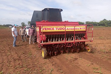 ISA inspecciona siembra de arroz en Santa María, Herrera