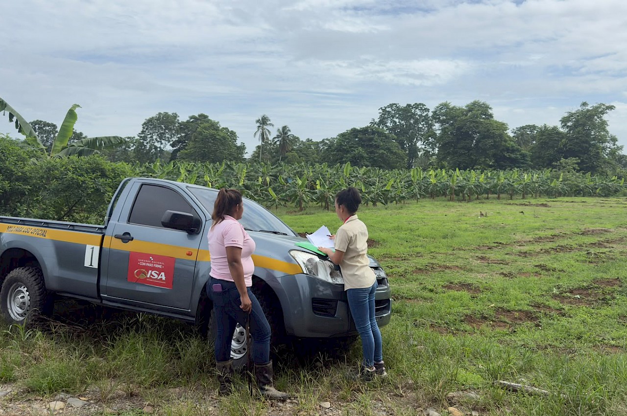 ISA inspecciona afectaciones en cultivos de plátano y ganado